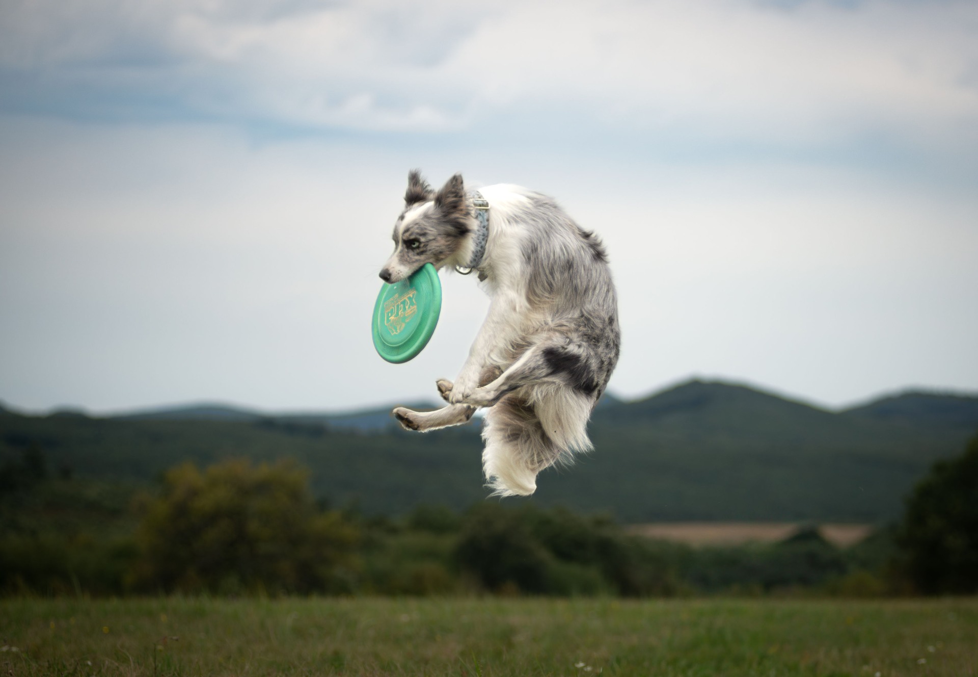 Life By Grace Crystal 